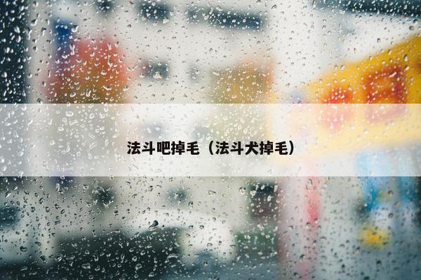 法斗吧掉毛（法斗犬掉毛）