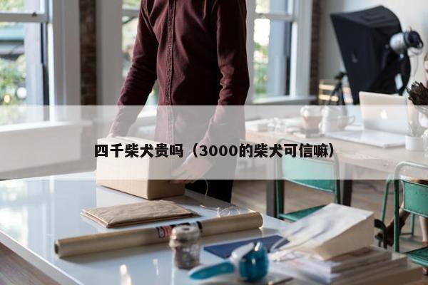 四千柴犬贵吗（3000的柴犬可信嘛）