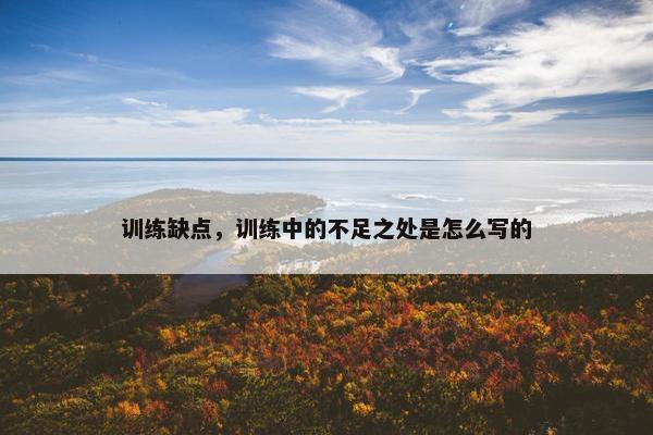 训练缺点，训练中的不足之处是怎么写的