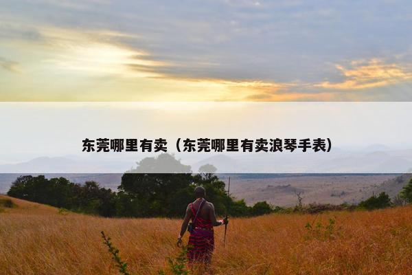 东莞哪里有卖（东莞哪里有卖浪琴手表）
