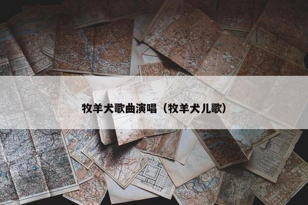 牧羊犬歌曲演唱（牧羊犬儿歌）