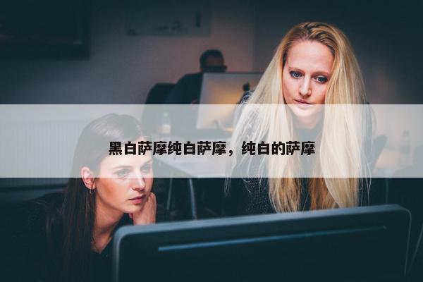 黑白萨摩纯白萨摩，纯白的萨摩