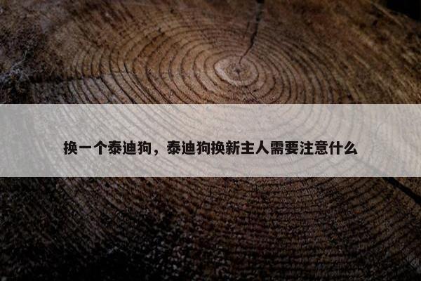 换一个泰迪狗，泰迪狗换新主人需要注意什么