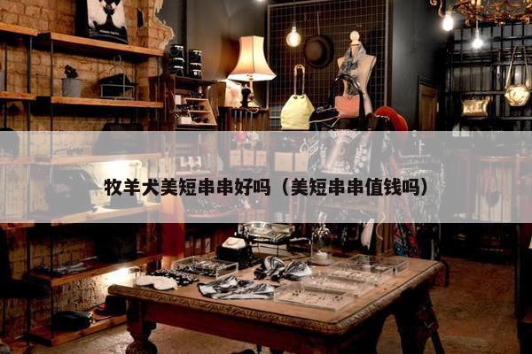 牧羊犬美短串串好吗（美短串串值钱吗）