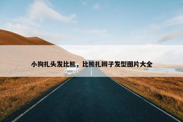 小狗扎头发比熊，比熊扎辫子发型图片大全
