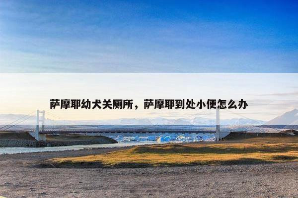 萨摩耶幼犬关厕所，萨摩耶到处小便怎么办