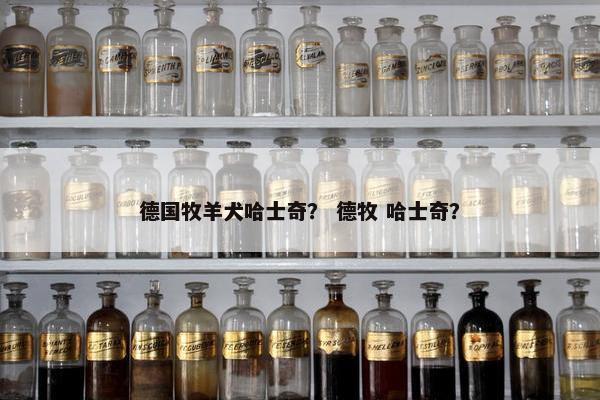 德国牧羊犬哈士奇？ 德牧 哈士奇？