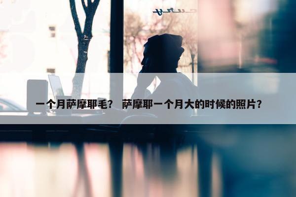 一个月萨摩耶毛？ 萨摩耶一个月大的时候的照片？