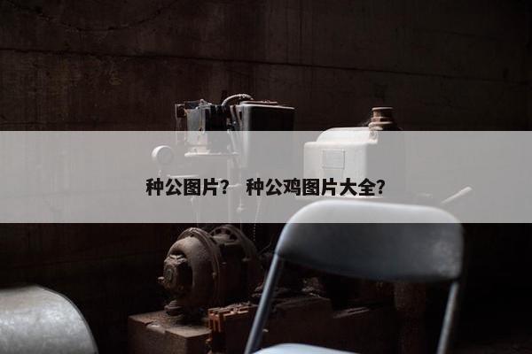 种公图片？ 种公鸡图片大全？
