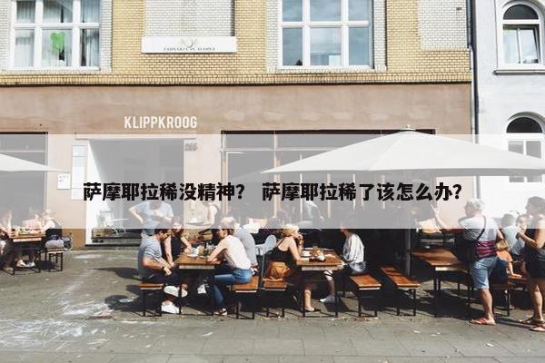 萨摩耶拉稀没精神？ 萨摩耶拉稀了该怎么办？