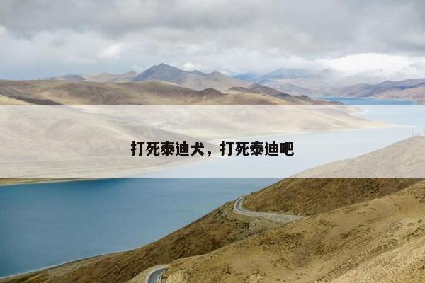 打死泰迪犬，打死泰迪吧