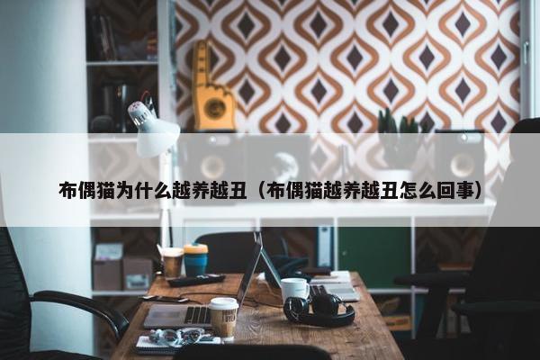 布偶猫为什么越养越丑（布偶猫越养越丑怎么回事）