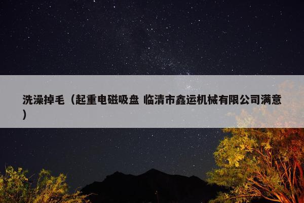 洗澡掉毛（起重电磁吸盘 临清市鑫运机械有限公司满意）