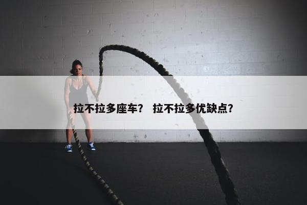 拉不拉多座车？ 拉不拉多优缺点？
