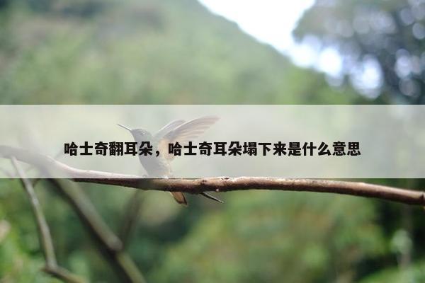 哈士奇翻耳朵，哈士奇耳朵塌下来是什么意思
