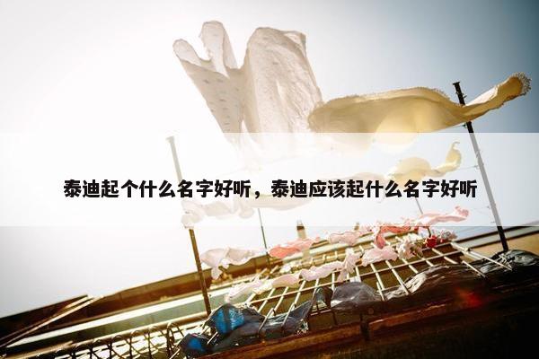 泰迪起个什么名字好听，泰迪应该起什么名字好听