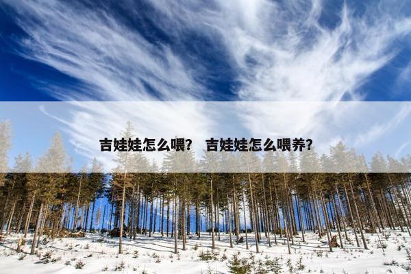 吉娃娃怎么喂？ 吉娃娃怎么喂养？