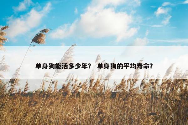 单身狗能活多少年？ 单身狗的平均寿命？
