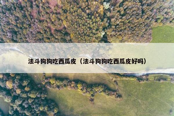 法斗狗狗吃西瓜皮（法斗狗狗吃西瓜皮好吗）