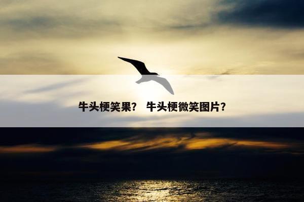 牛头梗笑果？ 牛头梗微笑图片？