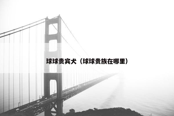 球球贵宾犬（球球贵族在哪里）