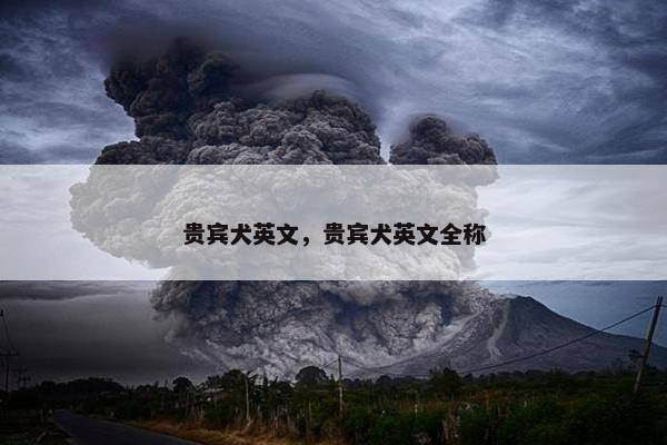 贵宾犬英文，贵宾犬英文全称