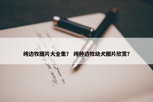纯边牧图片大全集？ 纯种边牧幼犬图片欣赏？