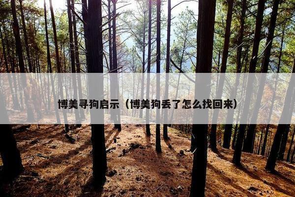 博美寻狗启示（博美狗丢了怎么找回来）
