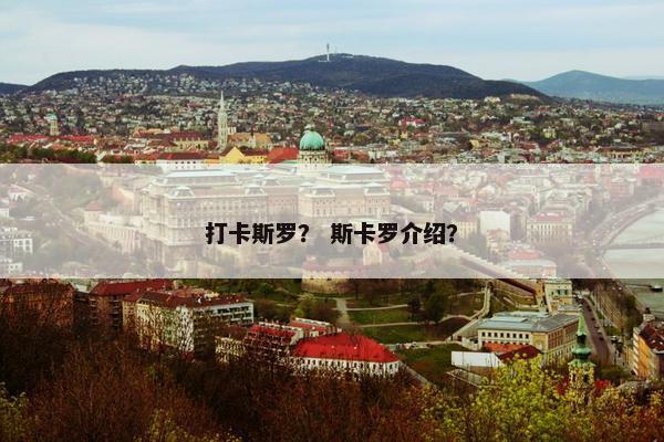 打卡斯罗？ 斯卡罗介绍？