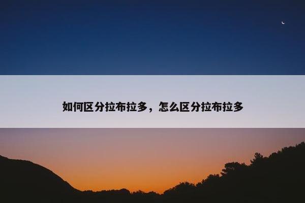 如何区分拉布拉多，怎么区分拉布拉多