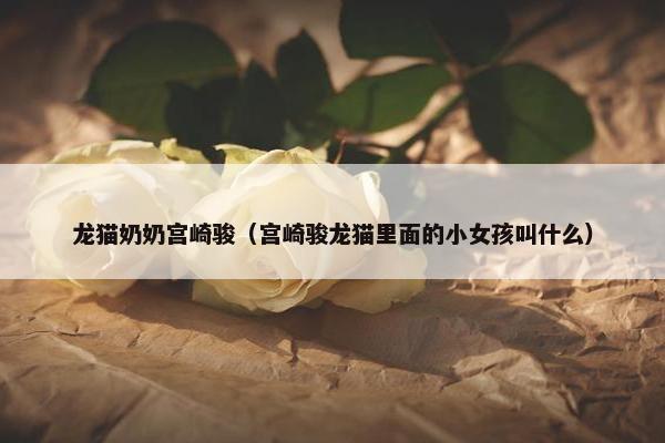 龙猫奶奶宫崎骏（宫崎骏龙猫里面的小女孩叫什么）