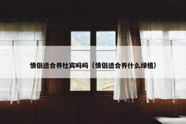 情侣适合养杜宾吗吗（情侣适合养什么绿植）