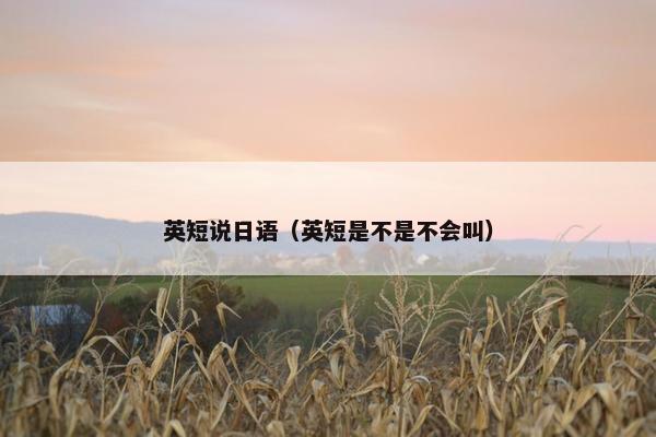 英短说日语（英短是不是不会叫）