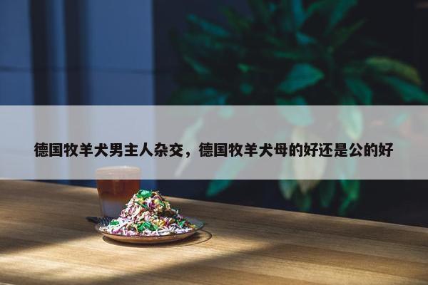 德国牧羊犬男主人杂交，德国牧羊犬母的好还是公的好