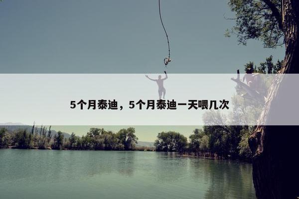 5个月泰迪，5个月泰迪一天喂几次