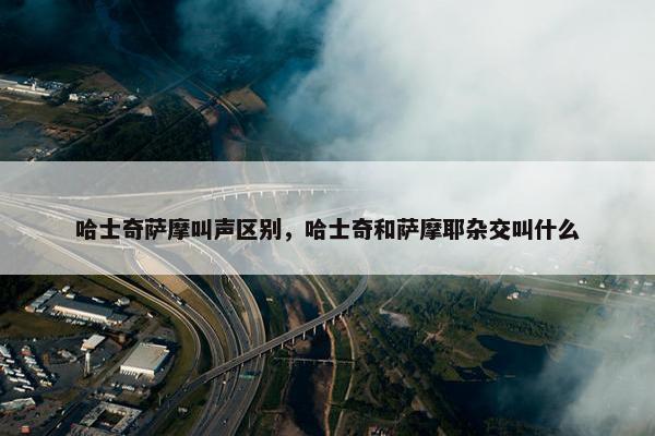 哈士奇萨摩叫声区别，哈士奇和萨摩耶杂交叫什么