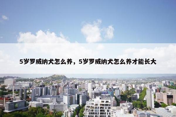 5岁罗威纳犬怎么养，5岁罗威纳犬怎么养才能长大