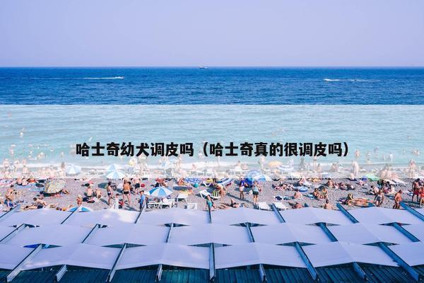 哈士奇幼犬调皮吗（哈士奇真的很调皮吗）