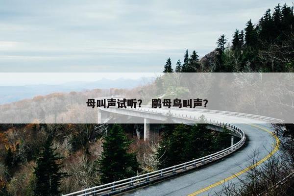 母叫声试听？ 鹛母鸟叫声？