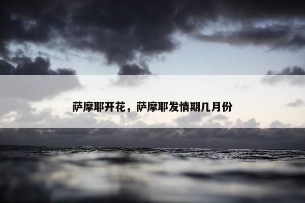 萨摩耶开花，萨摩耶发情期几月份