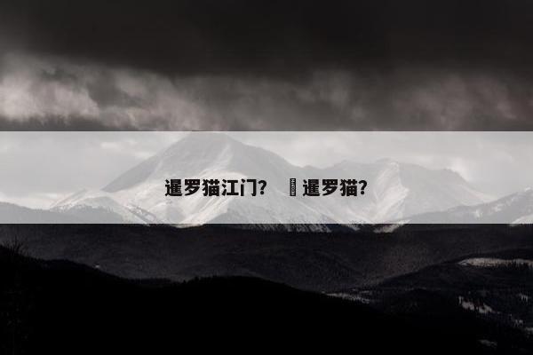 暹罗猫江门？  暹罗猫？