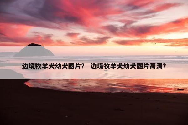 边境牧羊犬幼犬图片？ 边境牧羊犬幼犬图片高清？