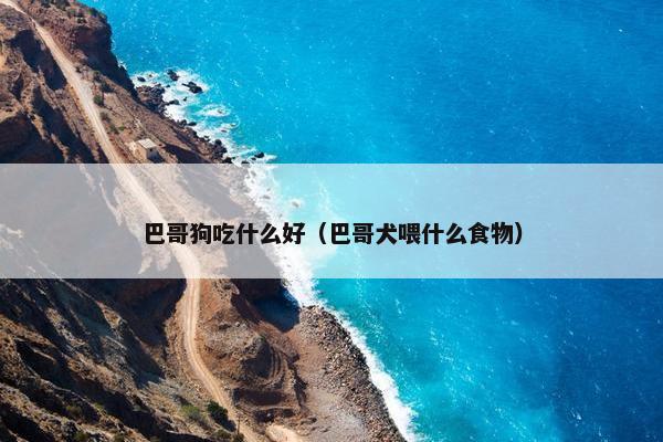 巴哥狗吃什么好（巴哥犬喂什么食物）