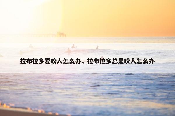 拉布拉多爱咬人怎么办，拉布拉多总是咬人怎么办