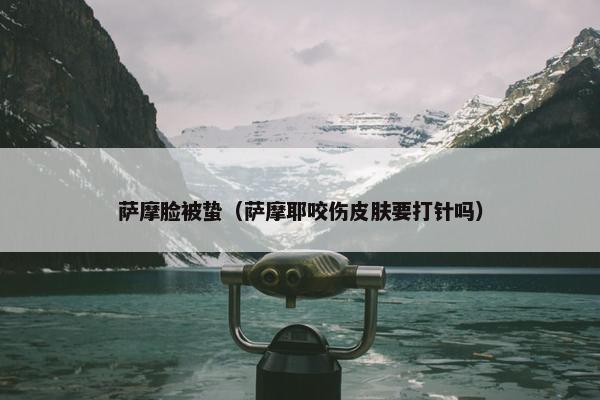 萨摩脸被蛰（萨摩耶咬伤皮肤要打针吗）