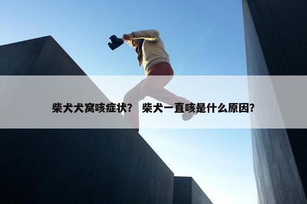柴犬犬窝咳症状？ 柴犬一直咳是什么原因？