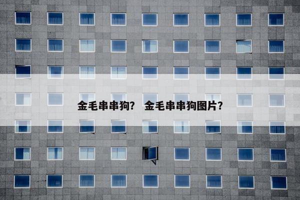金毛串串狗？ 金毛串串狗图片？
