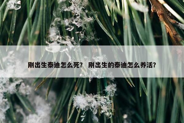 刚出生泰迪怎么死？ 刚出生的泰迪怎么养活？