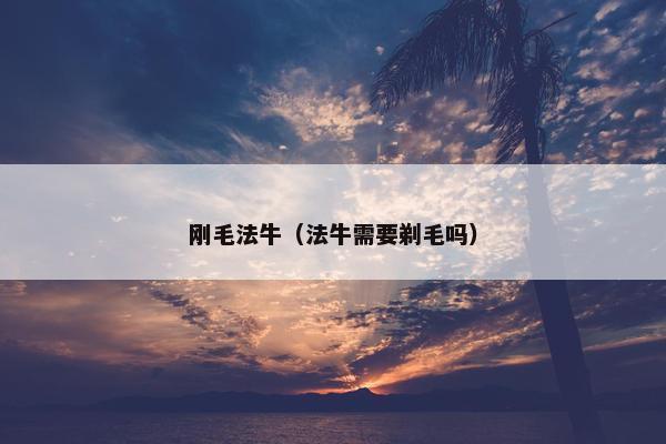 刚毛法牛（法牛需要剃毛吗）