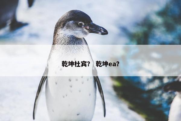 乾坤杜宾？ 乾坤ea？